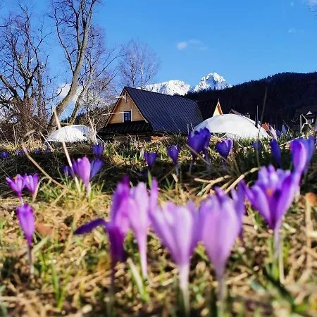 Glamp Siedlisko Luxury tent Koscielisko