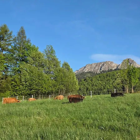 Highland Glamp Siedlisko *
